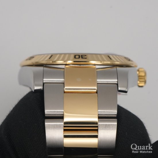 ロレックス ターノグラフ Ref.116263